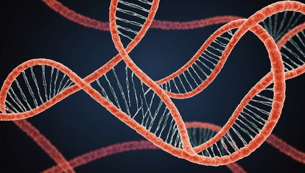 Microdélétions chromosomiques et grossesse : ce que chaque femme doit savoir